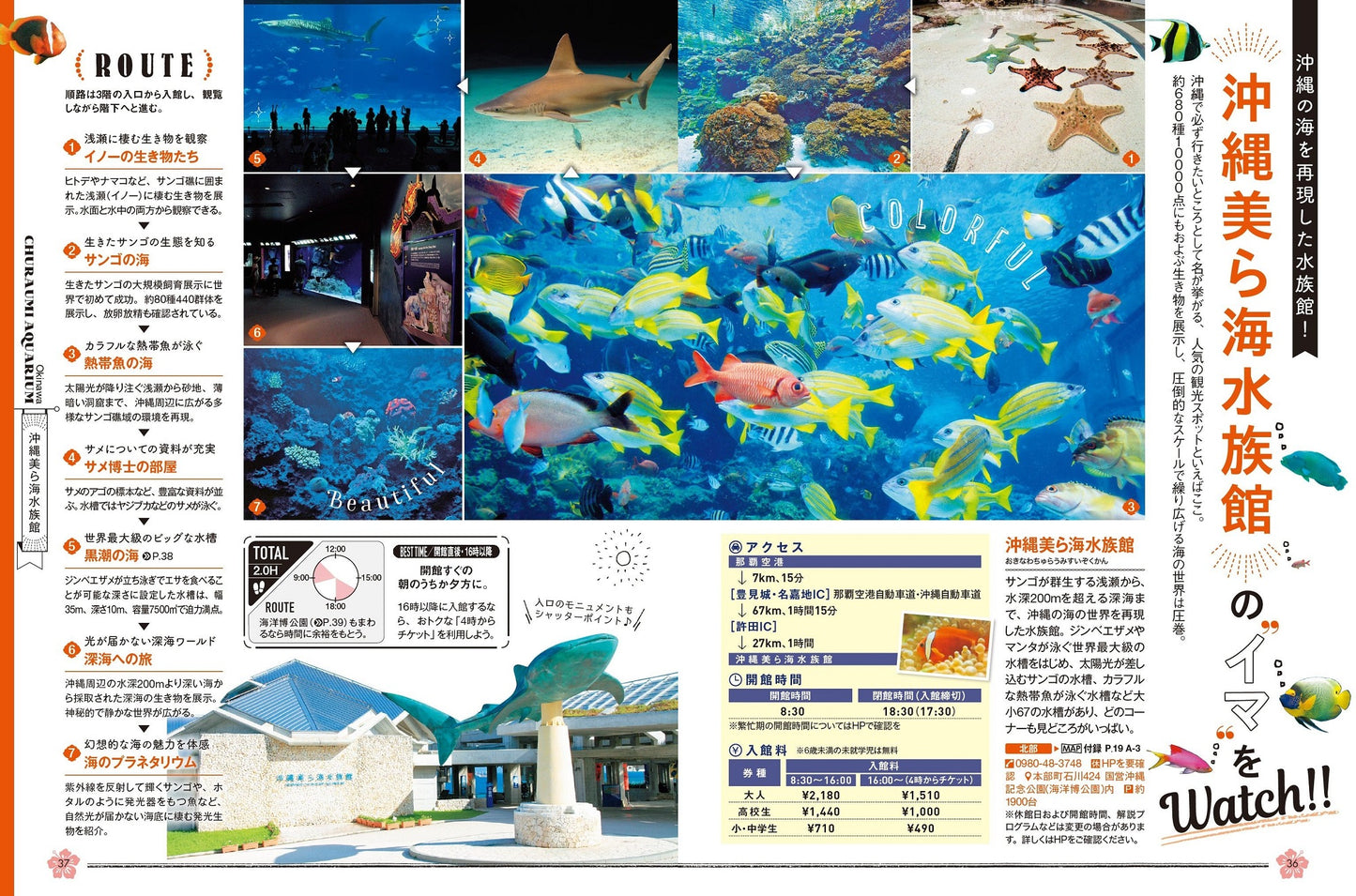 COLOR +(カラープラス) 沖縄 ケラマ諸島
