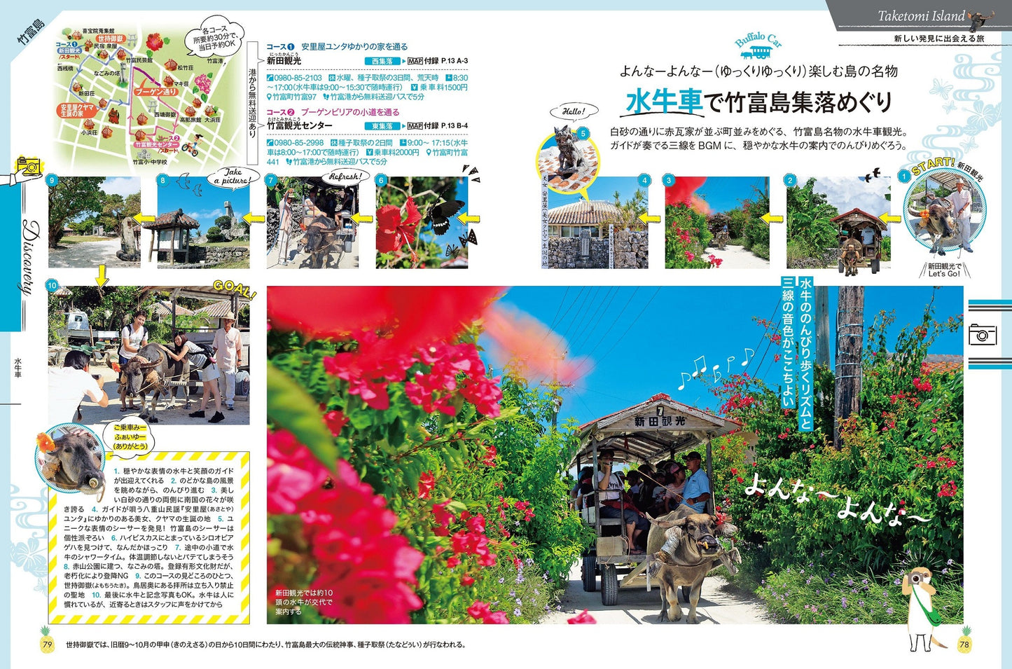 COLOR +(カラープラス) 石垣島 竹富・西表・宮古島