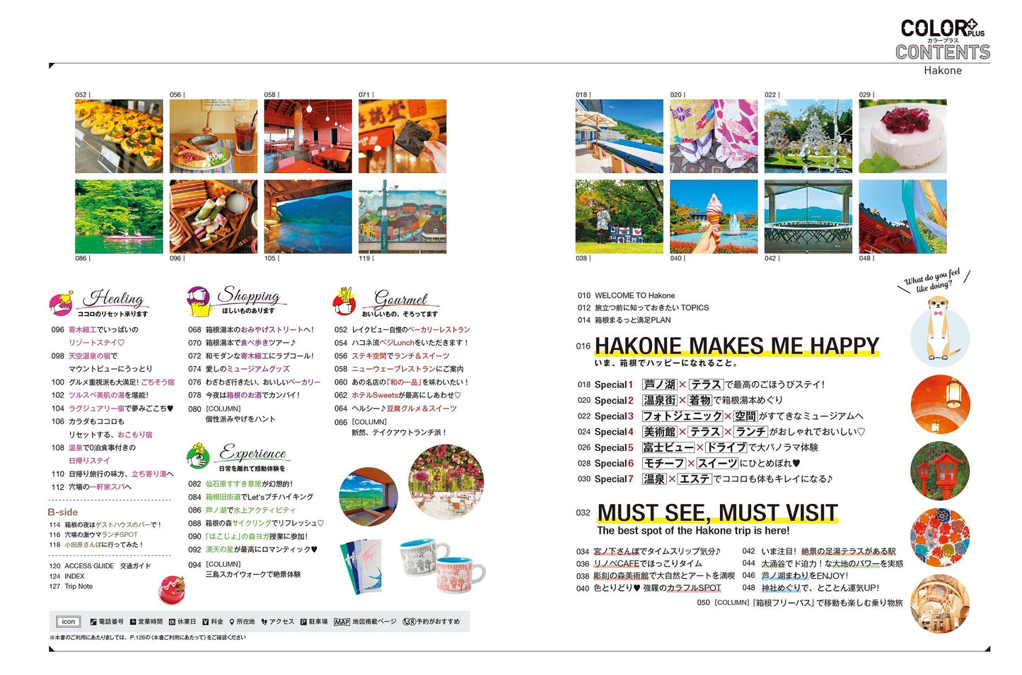 COLOR +(カラープラス) 箱根