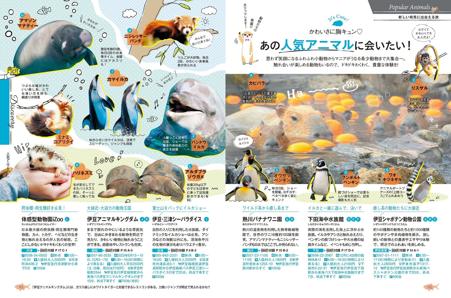 COLOR +(カラープラス) 伊豆 熱海