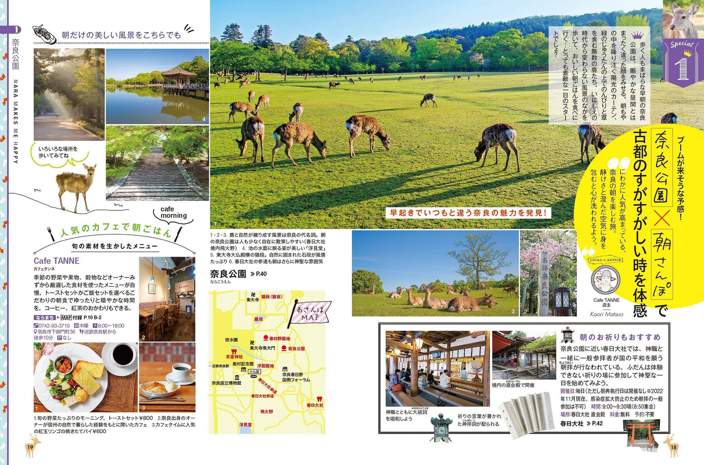 COLOR +(カラープラス) 奈良