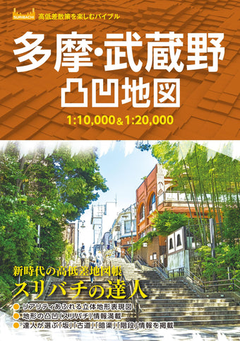 高低差凸凹地図