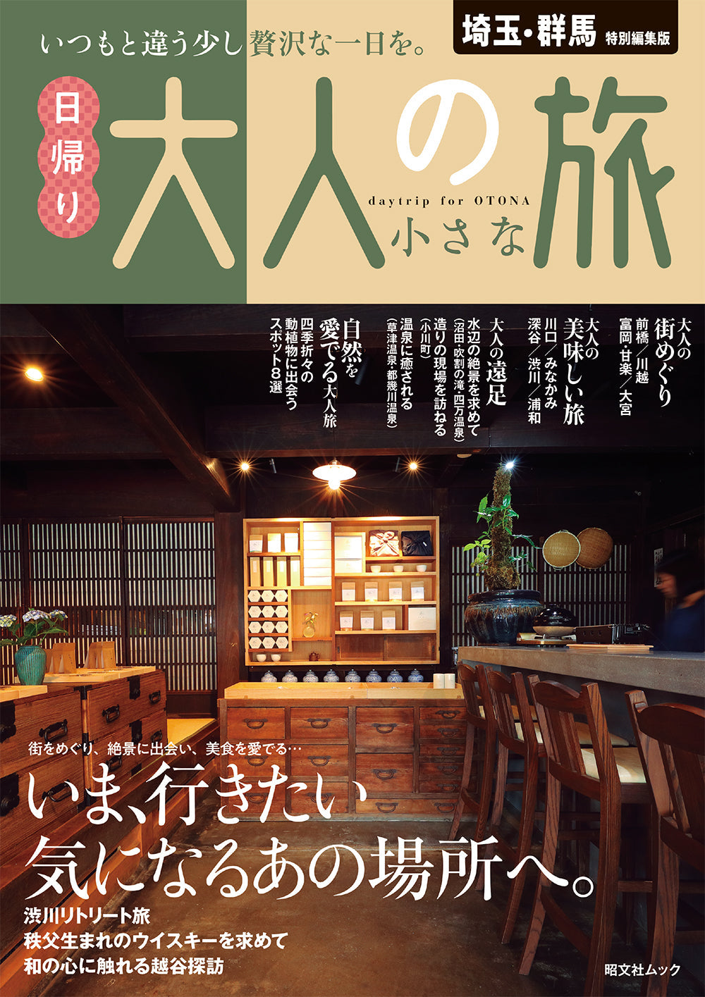 埼玉・群馬特別編集版 日帰り 大人の小さな旅の画像1