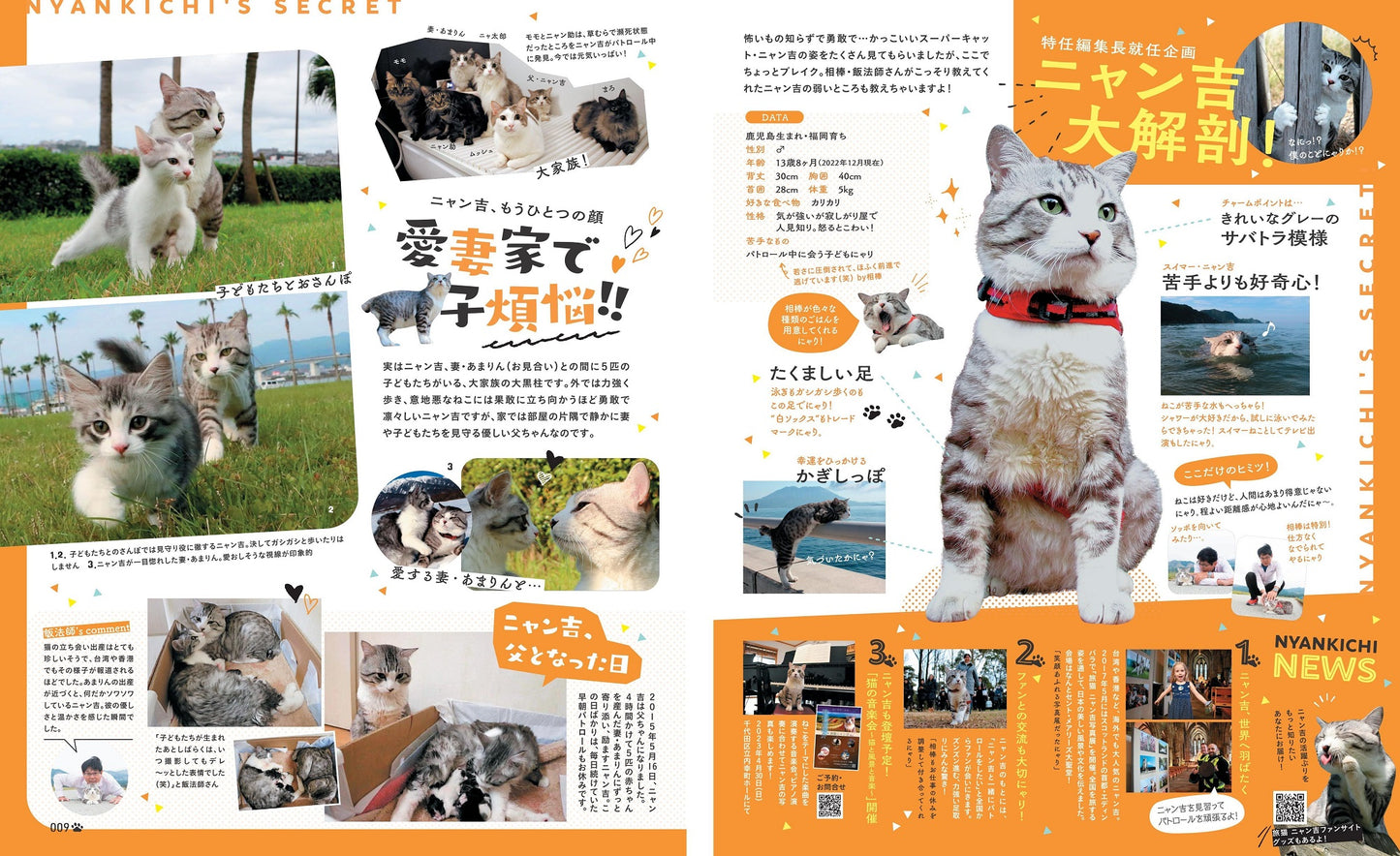 にゃっぷる 特任編集長は旅猫ニャン吉!