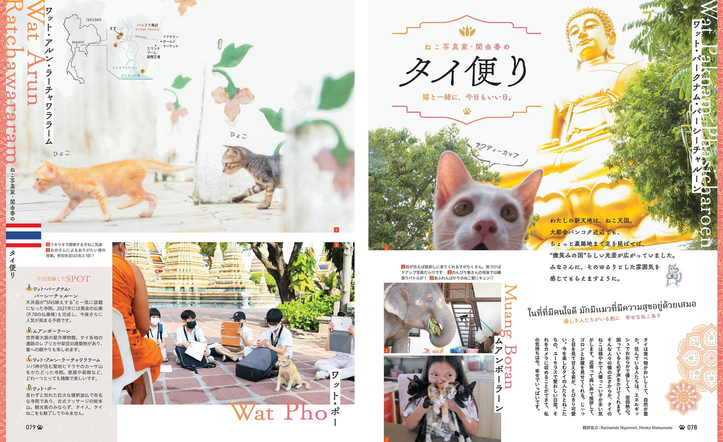 にゃっぷる 特任編集長は旅猫ニャン吉!