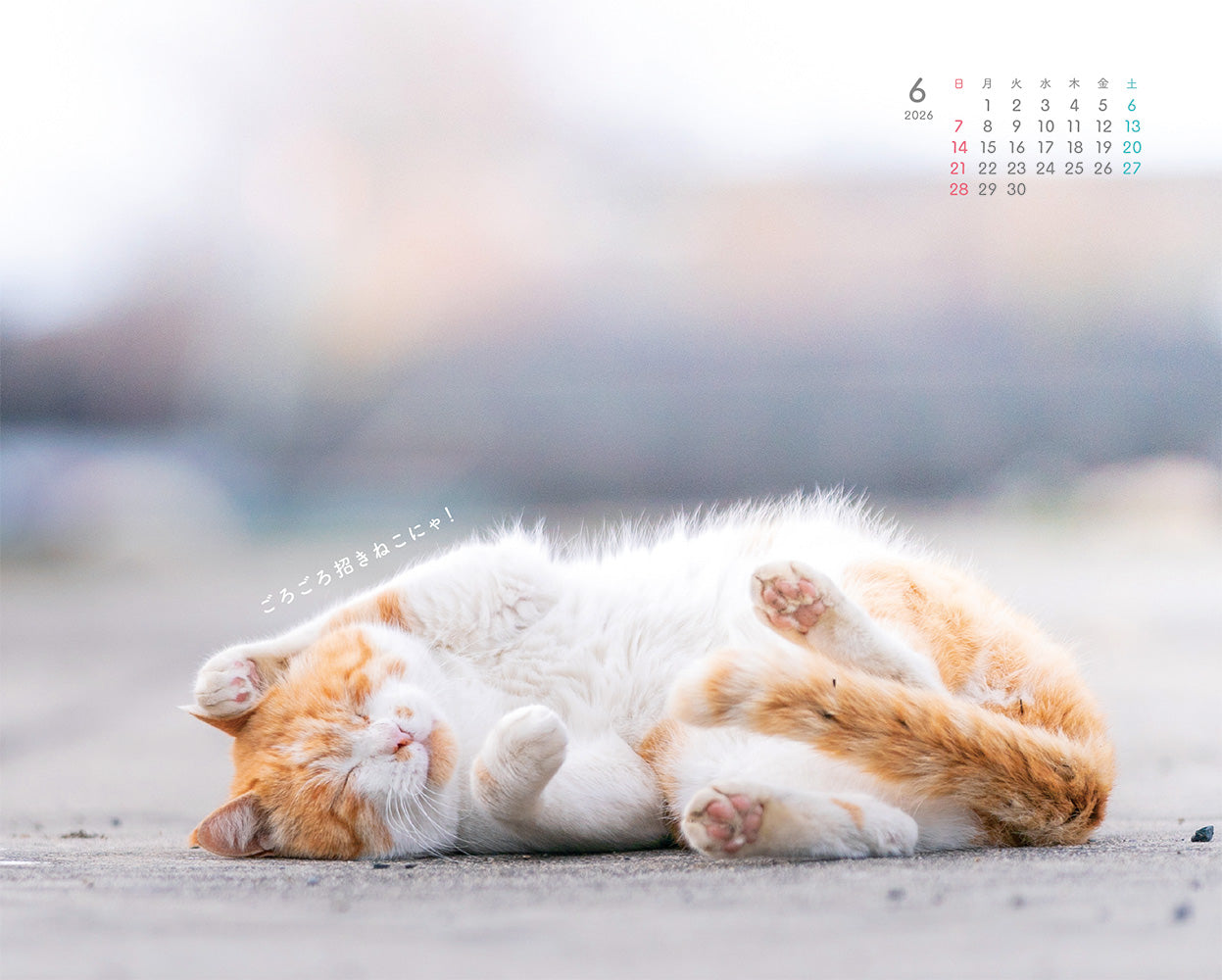 にゃっぷる 旅するねこカレンダー2026 卓上版の画像5