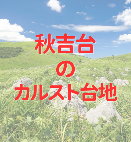 【山口県】ユネスコ世界ジオパーク認定！日本最大規模のカルスト台地 秋吉台の誕生をひもとく！
