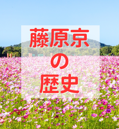 【奈良県】藤原京廃都の裏に参考資料のミス!?～日本初の条坊制の都～