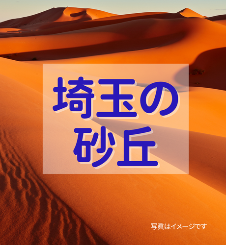 【埼玉県】海なし県埼玉に砂丘がある？！中川低地に形成された河畔砂丘