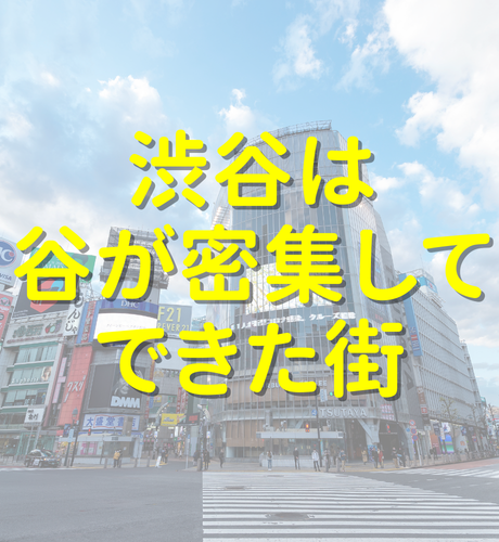 【東京都】渋谷の地形を解き明かす！都心には「谷底の街」があった！？渋谷は谷が密集してできた街だった