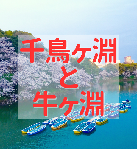 【東京都】千鳥ヶ淵と牛ヶ淵は飲料水用ダムだった！？東京のど真ん中にある皇居外苑濠