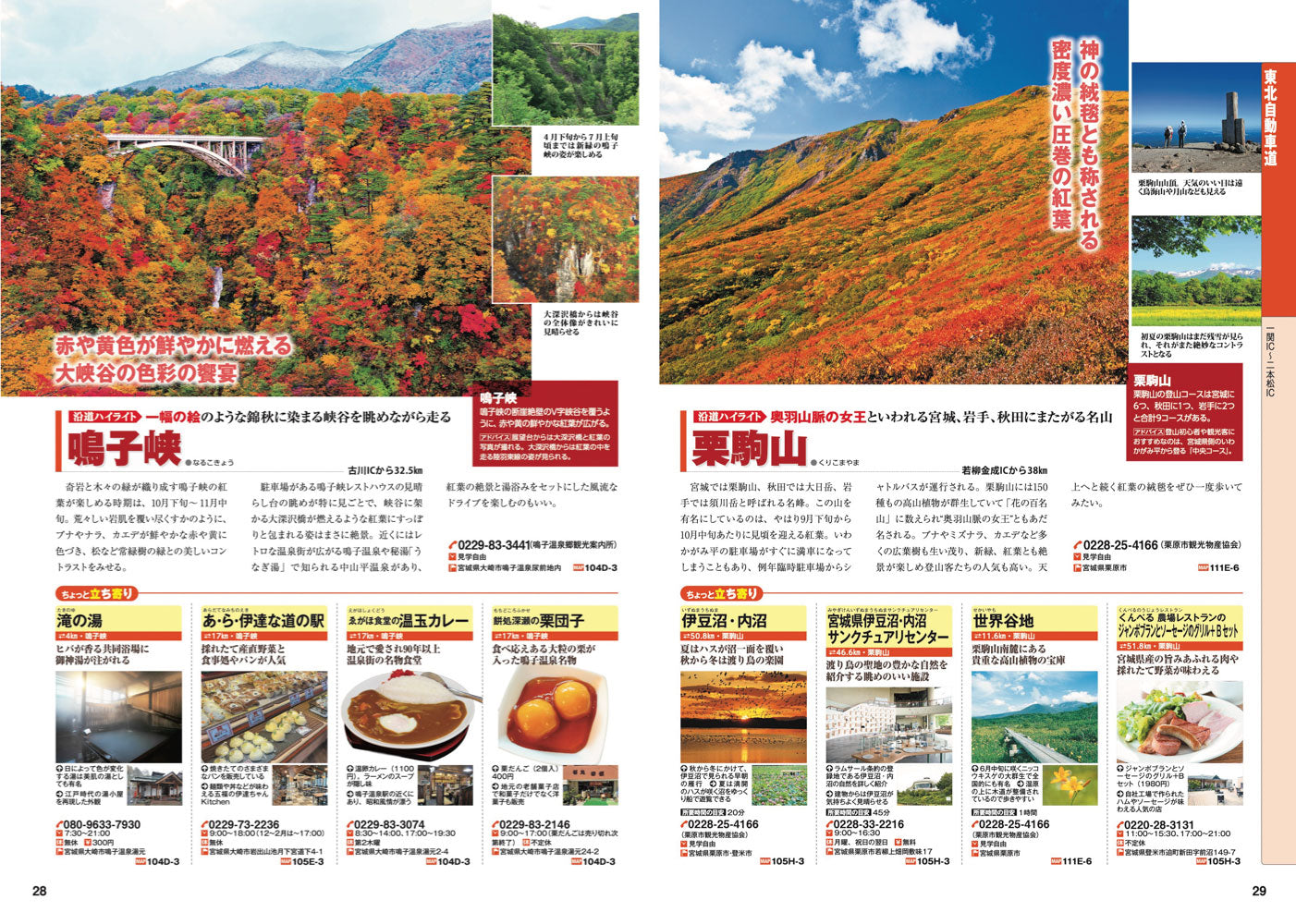 にっぽんクルマ旅 東北の画像6