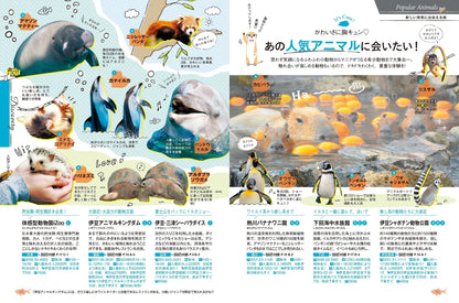 COLOR +（カラープラス） 伊豆 熱海