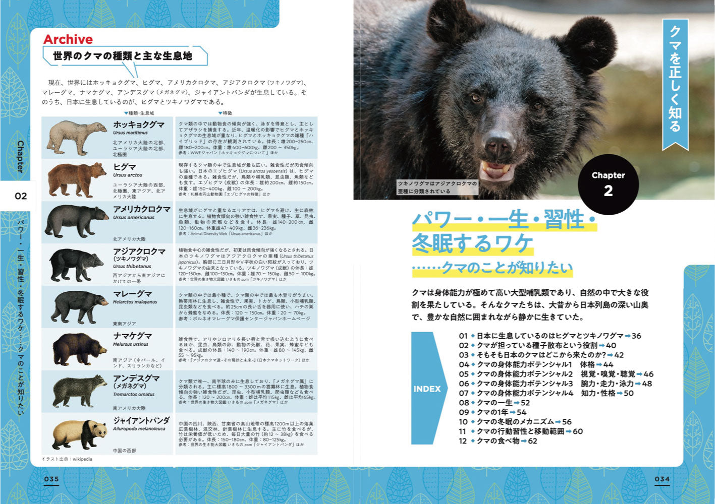さまようクマ、変わる森 正しく怖がるための新しい教科書の画像5