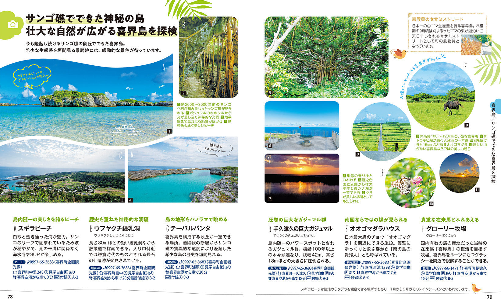 ことりっぷ 奄美群島 奄美大島・喜界島・徳之島・沖永良部島・与論島の画像10