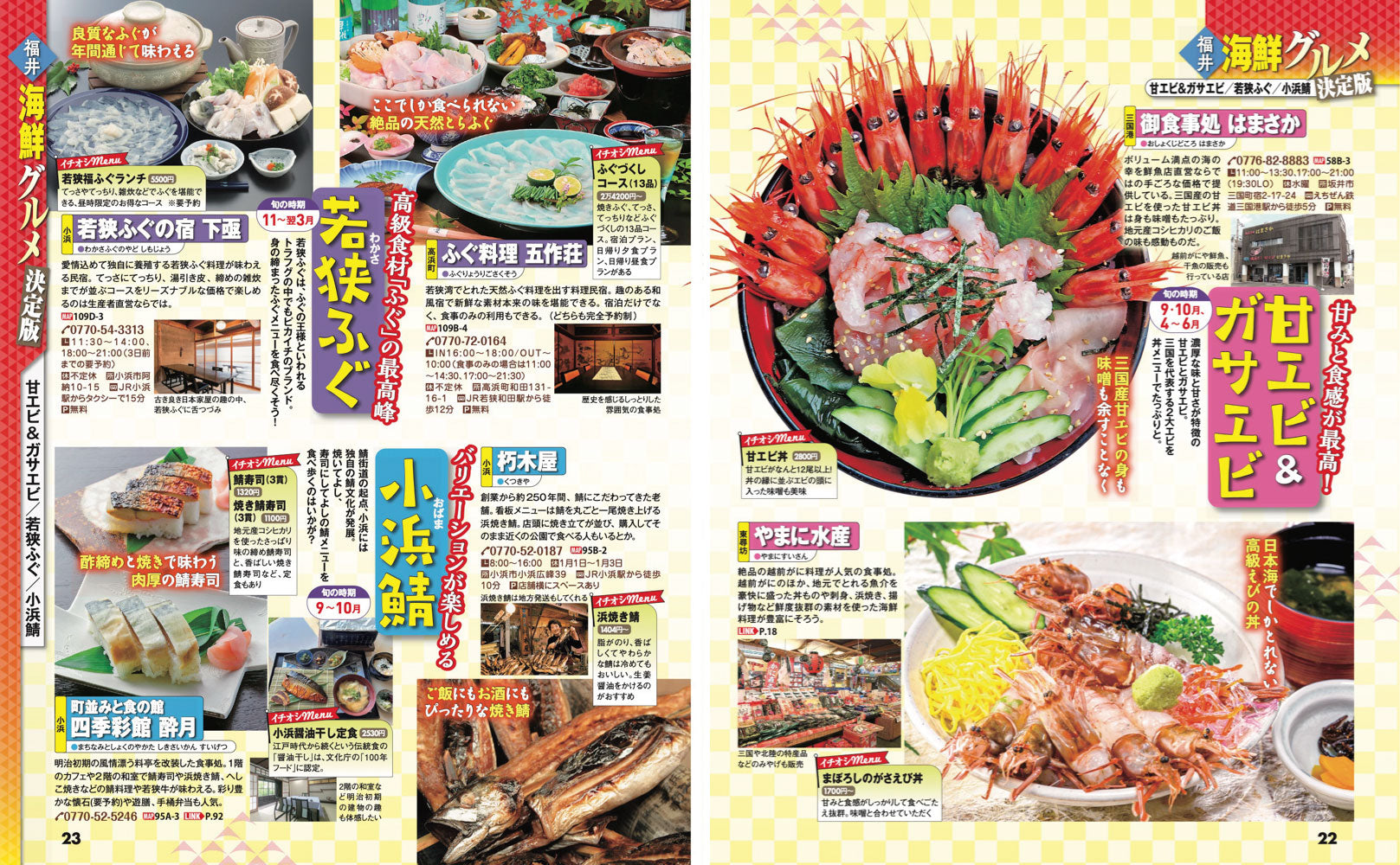 まっぷる 福井 恐竜博物館 敦賀・若狭'27の画像4