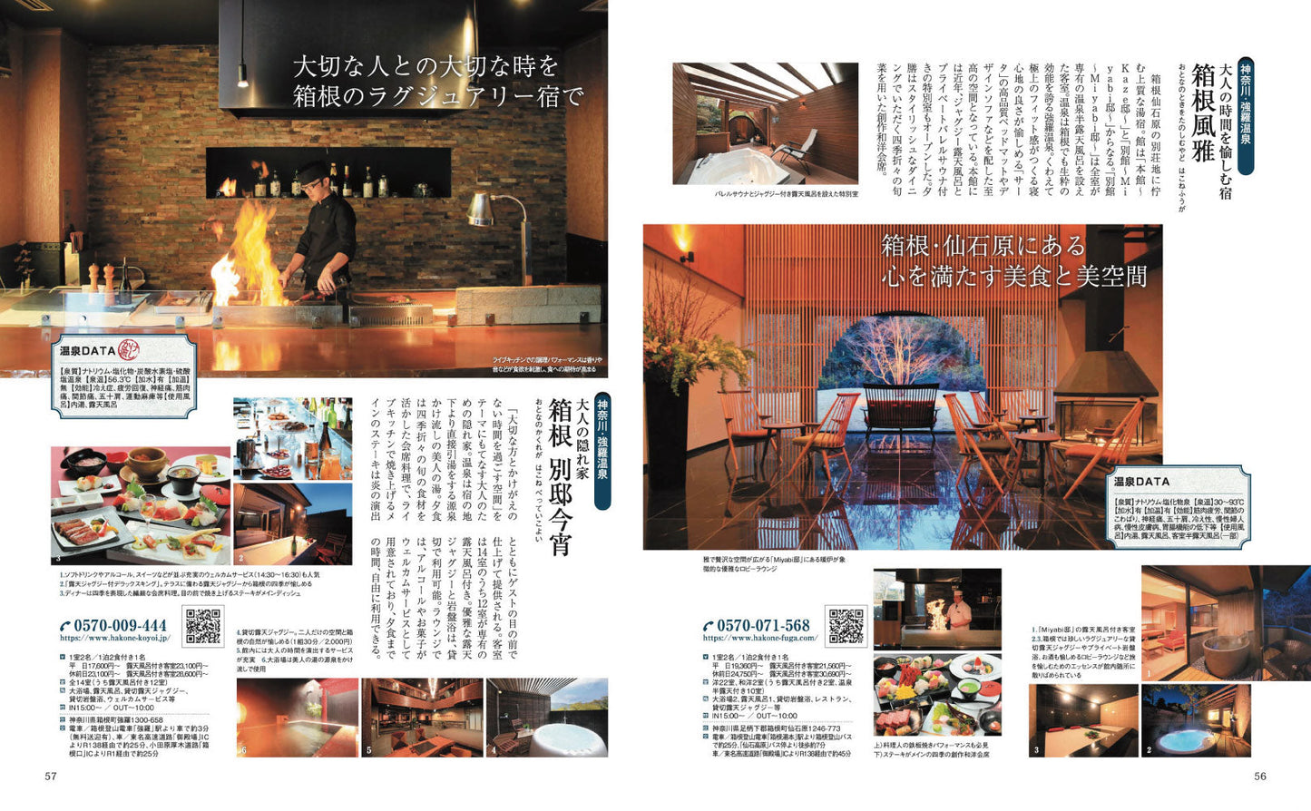 おとなの温泉宿ベストセレクション100 東日本 関東・甲信越・東北・北海道の画像8