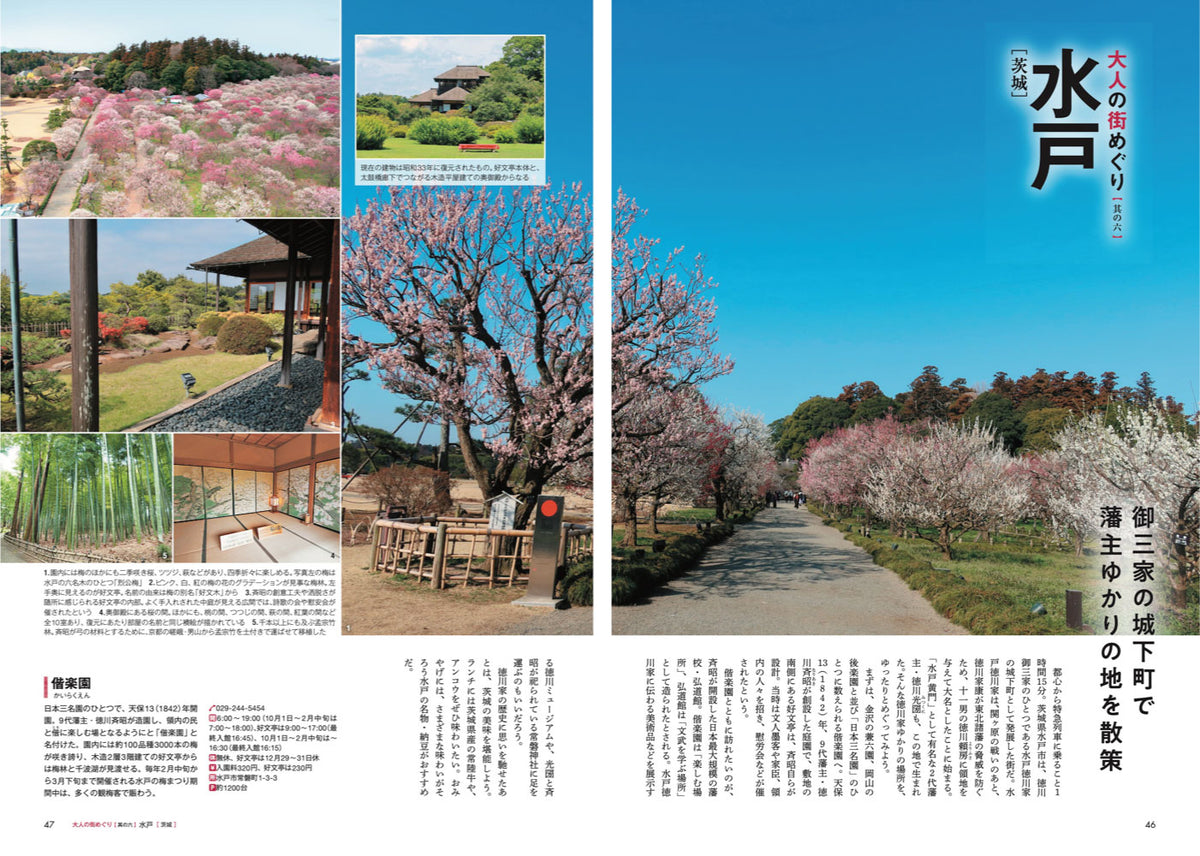 首都圏発 日帰り 大人の小さな旅の画像5