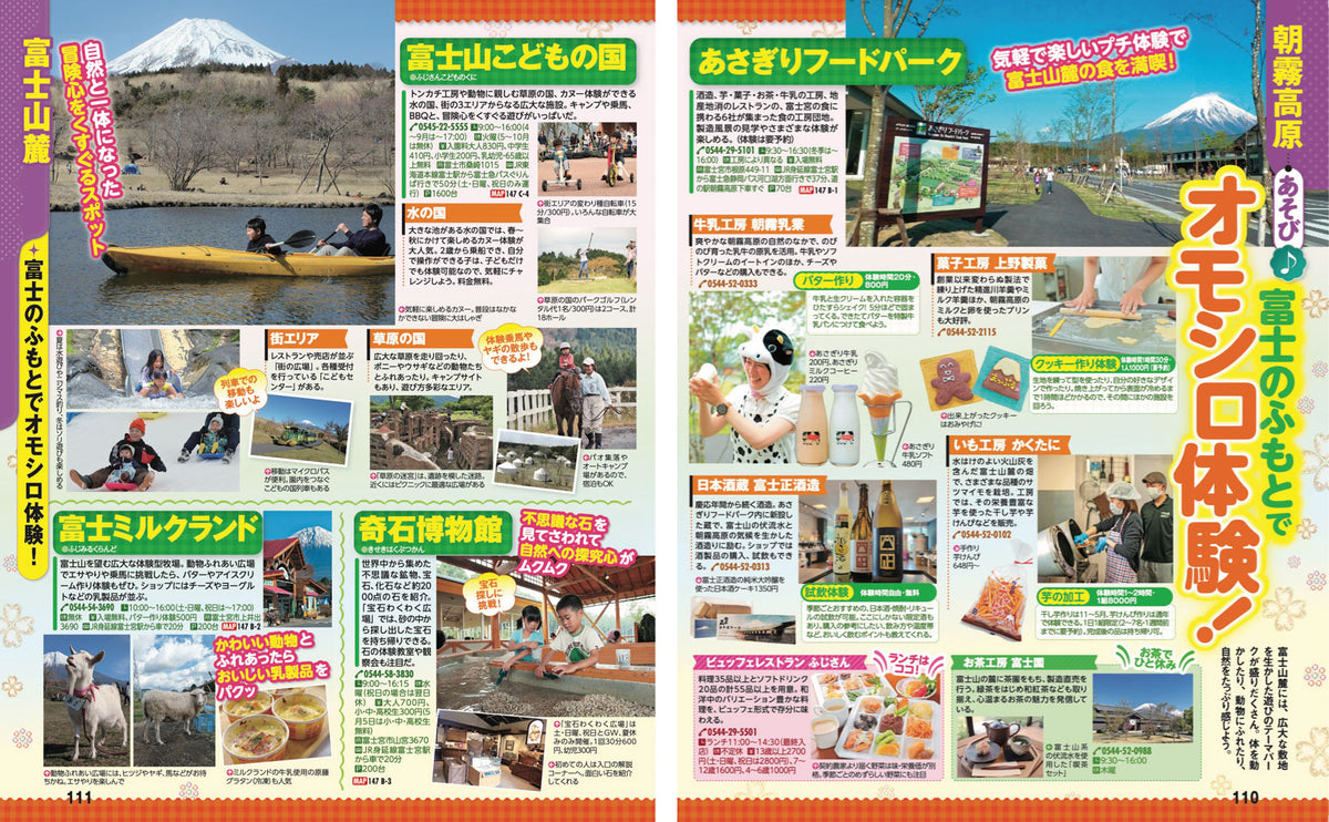 まっぷる 静岡 浜名湖・富士山麓・伊豆'27の画像8