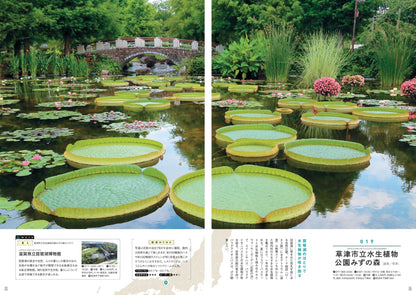 ご当地絶景 関西の画像3