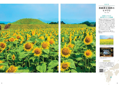 ご当地絶景 九州の画像4