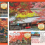 まっぷる 秋 紅葉の京都 2025