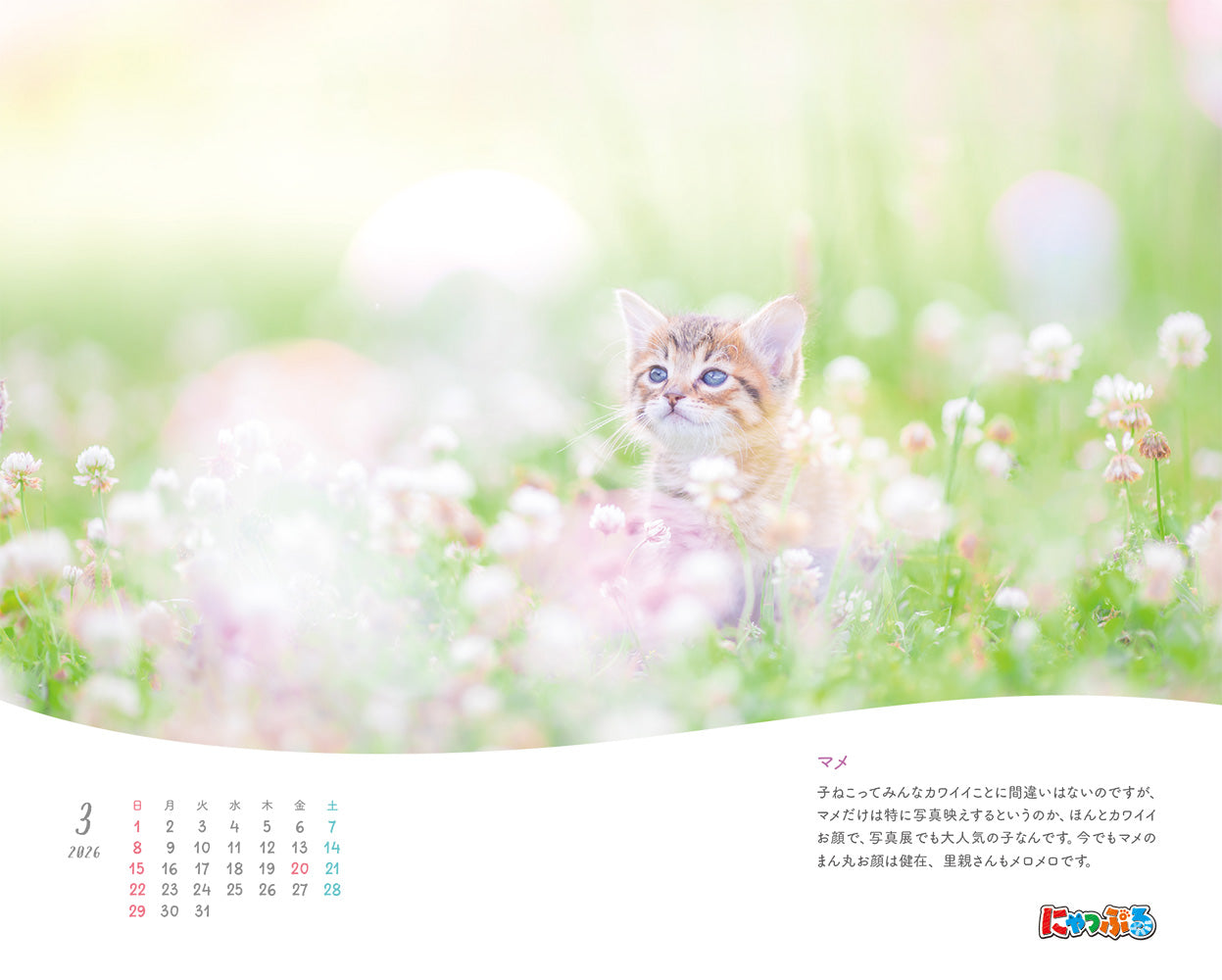 にゃっぷる 保護ねこカレンダー2026 卓上版の画像2