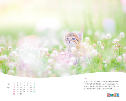 にゃっぷる 保護ねこカレンダー2026 卓上版の画像2