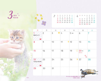 にゃっぷる 保護ねこカレンダー2026 卓上版の画像3