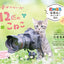 にゃっぷる 保護ねこカレンダー2026 卓上版の画像1
