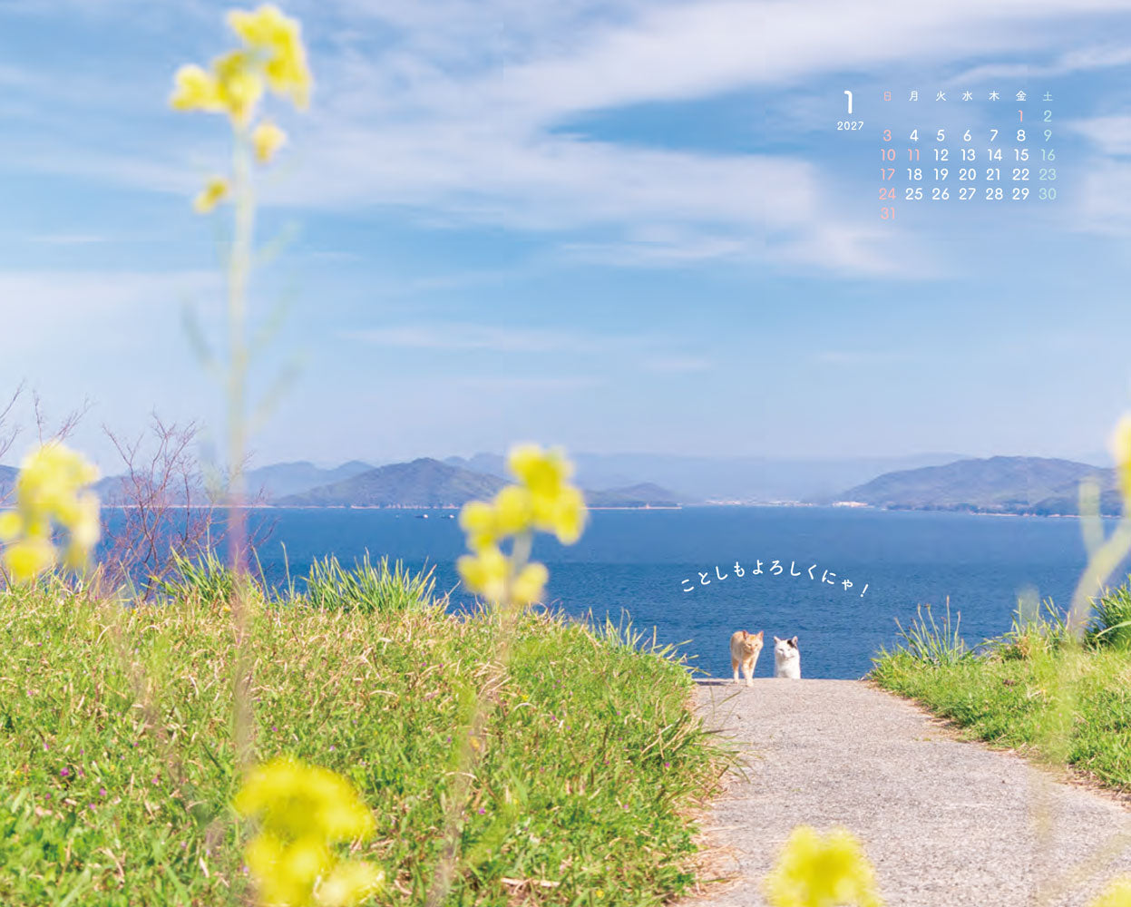 にゃっぷる 旅するねこカレンダー2027 卓上版「毎日がねこの日」／ねこの保護団体への寄付つき