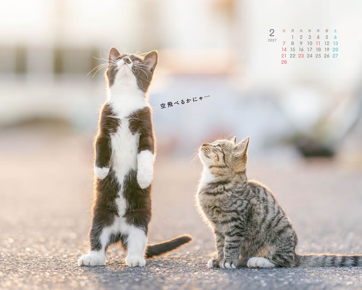 にゃっぷる 旅するねこカレンダー2027 卓上版「毎日がねこの日」／ねこの保護団体への寄付つき
