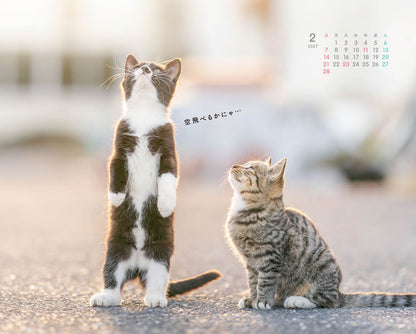 にゃっぷる 旅するねこカレンダー2027 卓上版「毎日がねこの日」／ねこの保護団体への寄付つき