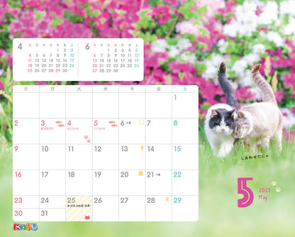 にゃっぷる 旅するねこカレンダー2027 卓上版「毎日がねこの日」／ねこの保護団体への寄付つき