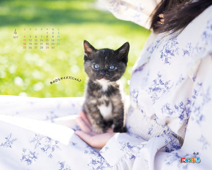 にゃっぷる 保護ねこカレンダー2027 卓上版「幸せつないだこねこたち」／ねこの保護団体への寄付つき