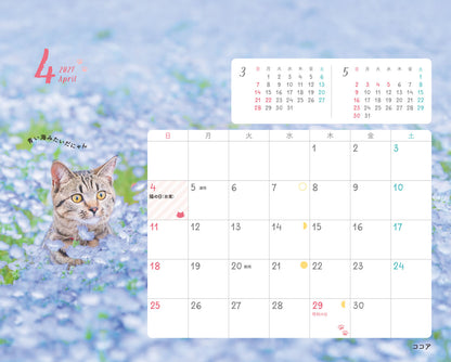 にゃっぷる 保護ねこカレンダー2027 卓上版「幸せつないだこねこたち」／ねこの保護団体への寄付つき