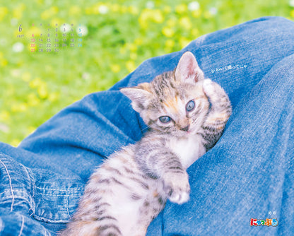 にゃっぷる 保護ねこカレンダー2027 卓上版「幸せつないだこねこたち」／ねこの保護団体への寄付つき