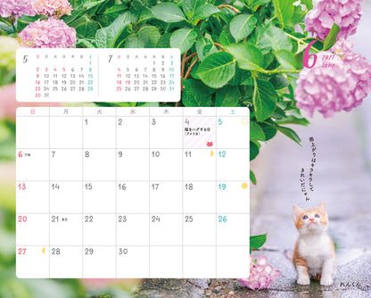 にゃっぷる 保護ねこカレンダー2027 卓上版「幸せつないだこねこたち」／ねこの保護団体への寄付つき