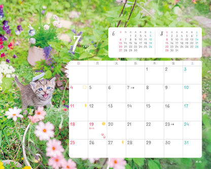 にゃっぷる 保護ねこカレンダー2027 卓上版「幸せつないだこねこたち」／ねこの保護団体への寄付つき