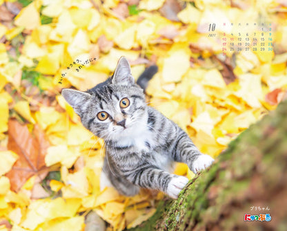 にゃっぷる 保護ねこカレンダー2027 卓上版「幸せつないだこねこたち」／ねこの保護団体への寄付つき