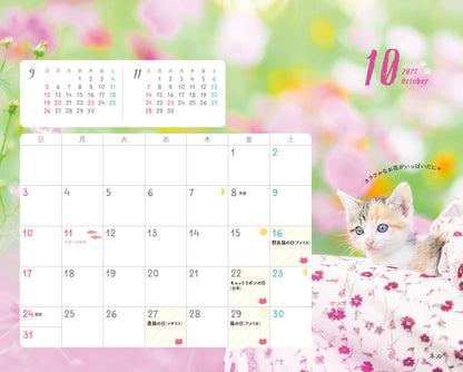 にゃっぷる 保護ねこカレンダー2027 卓上版「幸せつないだこねこたち」／ねこの保護団体への寄付つき