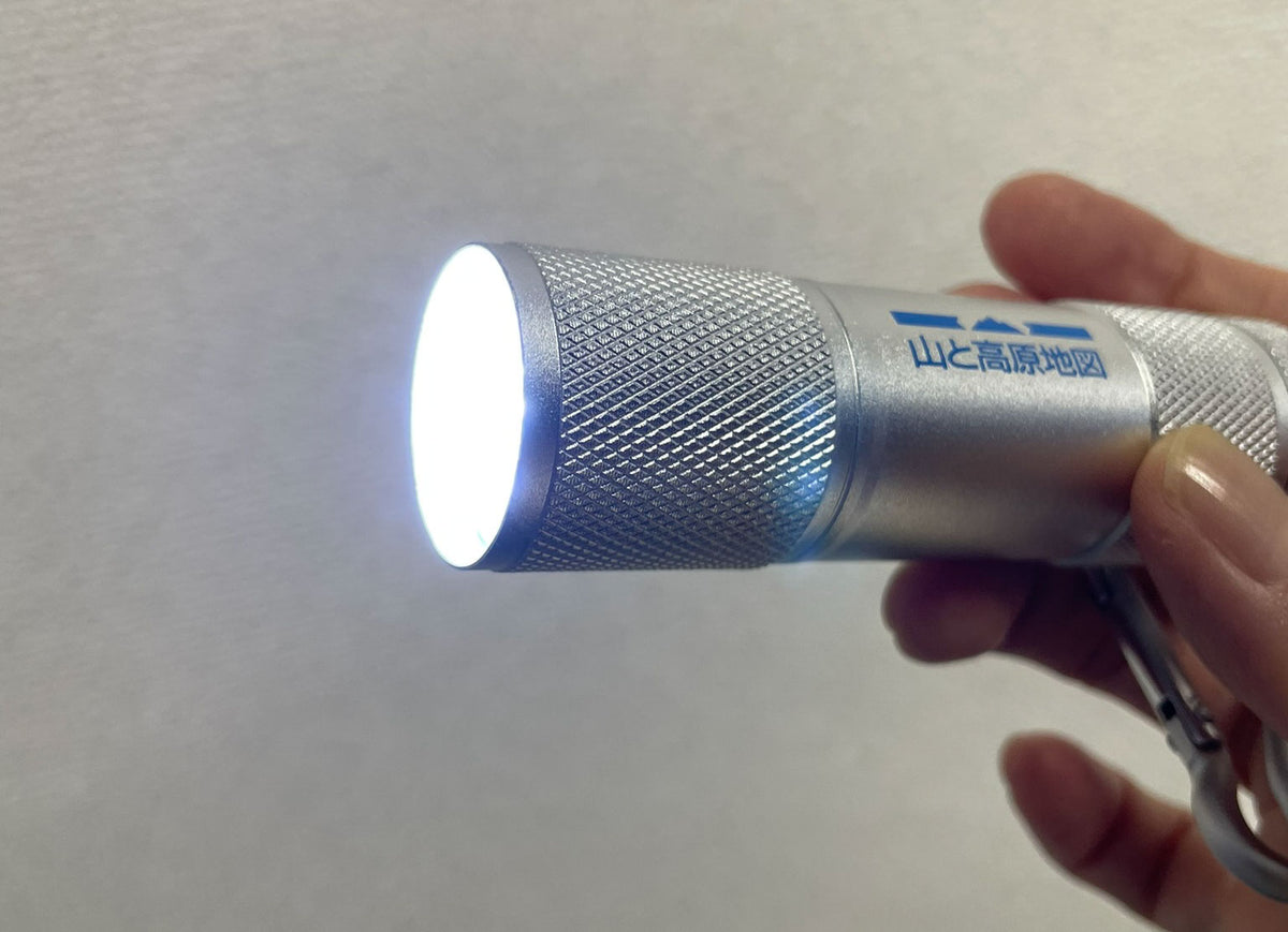 【山と高原地図ロゴ入り】ハンディライト LED9灯カラビナ付