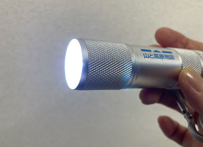 【山と高原地図ロゴ入り】ハンディライト LED9灯カラビナ付