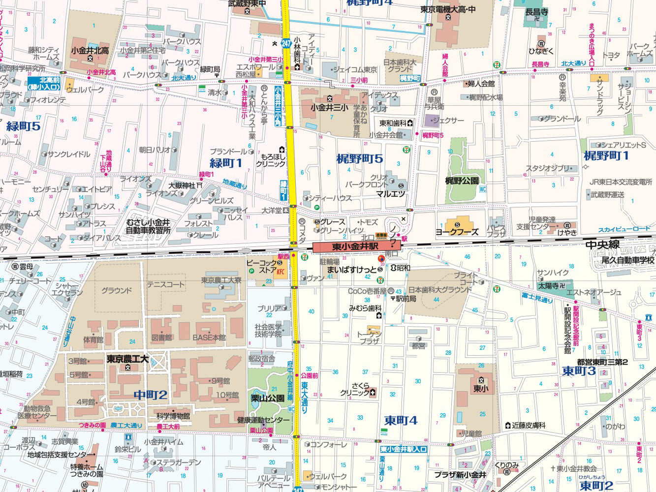 都市地図東京都 小金井市