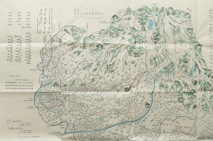 ＜お取り寄せ＞ 復刻古地図 嘉永二年 下野國繪圖（下野国絵図）