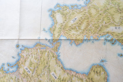 ＜お取り寄せ＞ 大日本沿海實測圖(実測図) 伊能中図 九州 (全2図)｜武揚堂｜解説書・ポスター付