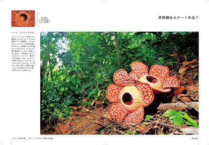 絵本のようにめくる 世界遺産の物語 地球の記憶編